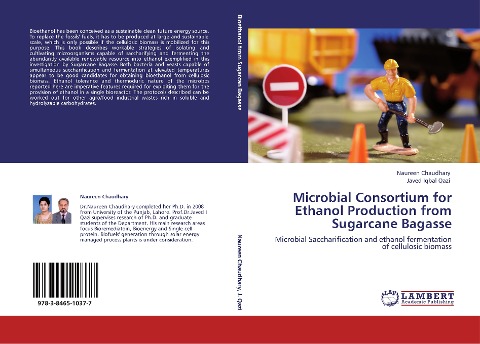Microbial Consortium for Ethanol Production from Sugarcane Bagasse: Microbial Saccharification and ethanol fermentation of cellulosic biomass