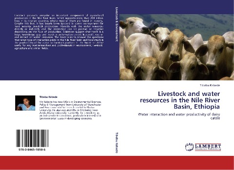 Livestock and water resources in the Nile River Basin, Ethiopia: Water interaction and water productivity of dairy cattle