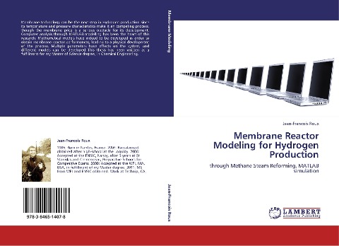 Membrane Reactor Modeling for Hydrogen Production: through Methane Steam Reforming. MATLAB simulation