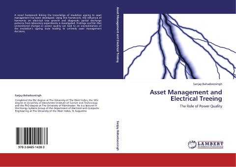 Asset Management and Electrical Treeing: The Role of Power Quality