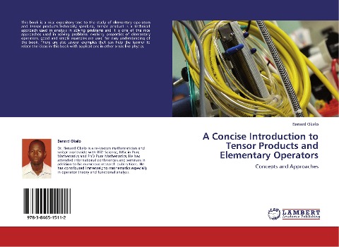 A Concise Introduction to Tensor Products and Elementary Operators: Concepts and Approaches