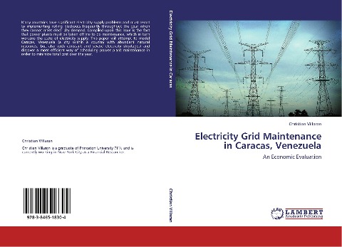Electricity Grid Maintenance in Caracas, Venezuela: An Economic Evaluation