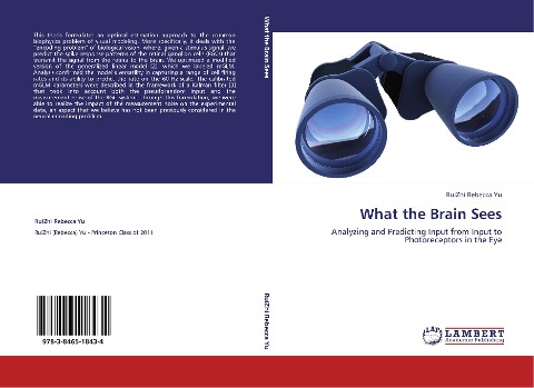 What the Brain Sees: Analyzing and Predicting Input from Input to Photoreceptors in the Eye
