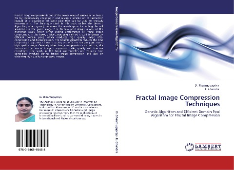 Fractal Image Compression Techniques: Genetic Algorithm and Efficient Domain Pool Algorithm for Fractal Image Compression