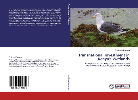 Transnational Investment in Kenyas Wetlands: Perceptions of the Indigenous Community on Dominion Farm Ltds Projects in Yala Swamp