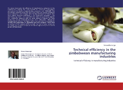 Technical efficiency in the zimbabwean manufacturing industries: Technical efficiency in manufacturing industries