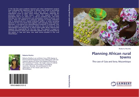 Planning African rural towns: The case of Caia and Sena, Mozambique
