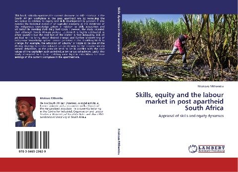 Skills, equity and the labour market in post apartheid South Africa: Appraisal of skills and equity dynamics