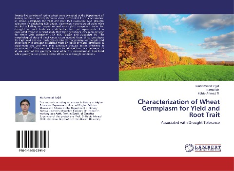 Characterization of Wheat Germplasm for Yield and Root Trait: Associated with Drought Tolerance