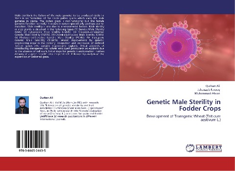 Genetic Male Sterility in Fodder Crops: Development of Transgenic Wheat (Triticum  aestivum L.)