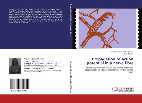 Propagation of action potential in a nerve fibre: Effect of perturbations on the action potention propagation and its consequences in the human body