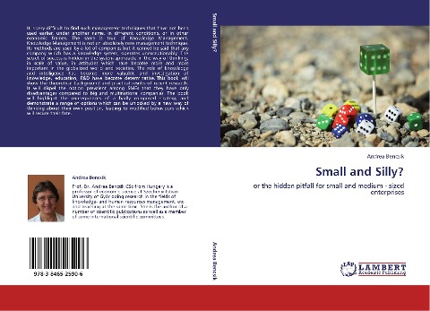 Small and Silly?: or the hidden pitfall for small and medium - sized enterprises