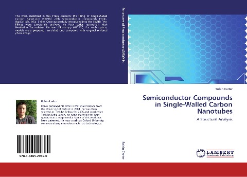 Semiconductor Compounds in Single-Walled Carbon Nanotubes: A Structural Analysis