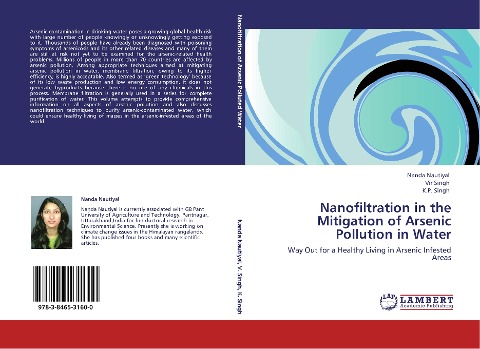 Nanofiltration in the Mitigation of Arsenic Pollution in Water: Way Out for a Healthy Living in Arsenic Infested Areas