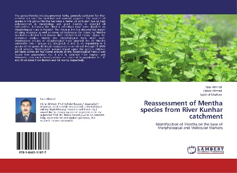 Reassessment of Mentha species from River Kunhar catchment: Identification of Mentha on the base of Morphological and Molecular Markers