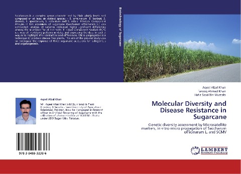 Molecular Diversity and Disease Resistance in Sugarcane: Genetic diversity assessment by Microsatellite markers, in vitro micro propagation of Saccharum officinarum L. and SCMV