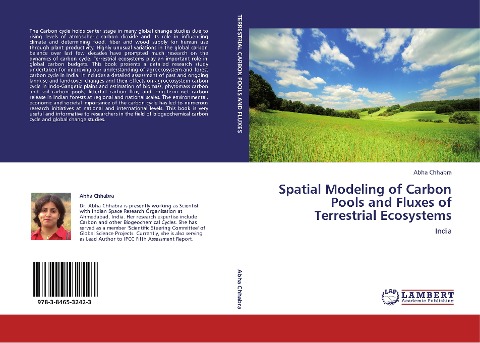 Spatial Modeling of Carbon Pools and Fluxes of Terrestrial Ecosystems: India