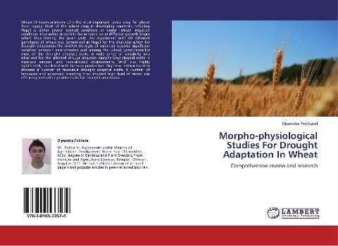 Morpho-physiological Studies For Drought Adaptation In Wheat: Comprehensive review and research