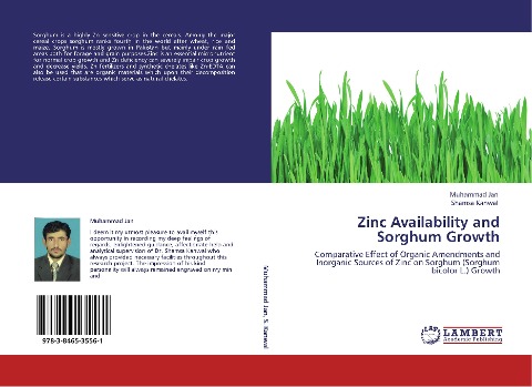 Zinc Availability and Sorghum Growth: Comparative Effect of Organic Amendments and Inorganic Sources of Zinc on Sorghum (Sorghum bicolor L.) Growth
