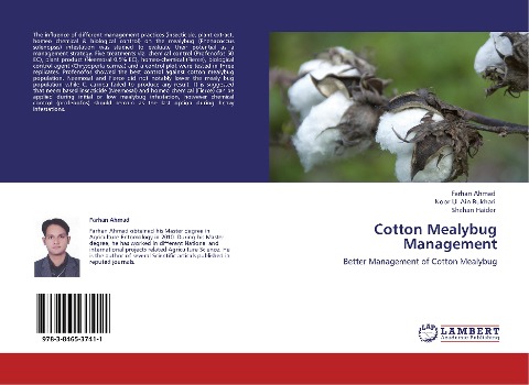 Cotton Mealybug Management: Better Management of Cotton Mealybug