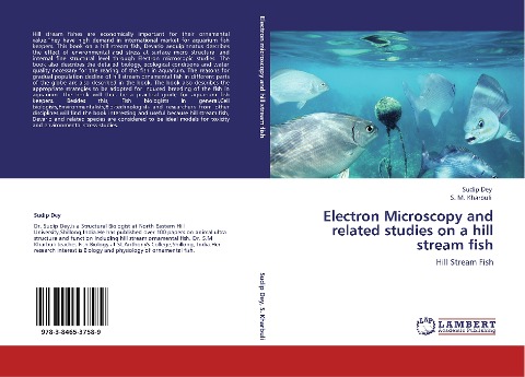 Electron Microscopy and related studies on a hill stream fish: Hill Stream Fish