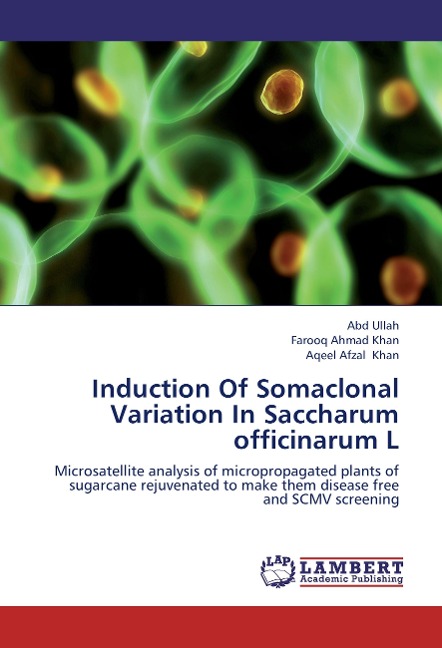 Induction Of Somaclonal Variation In Saccharum officinarum L: Microsatellite analysis of micropropagated plants of sugarcane rejuvenated to make them disease free and SCMV screening