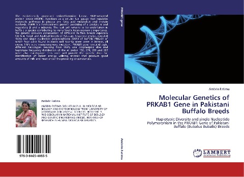 Molecular Genetics of PRKAB1 Gene in Pakistani Buffalo Breeds: Haplotypic Diversity and single Nucleotide Polymorphism in the PRKAB1 Gene of Pakistani Buffalo (Bubalus Bubalis) Breeds