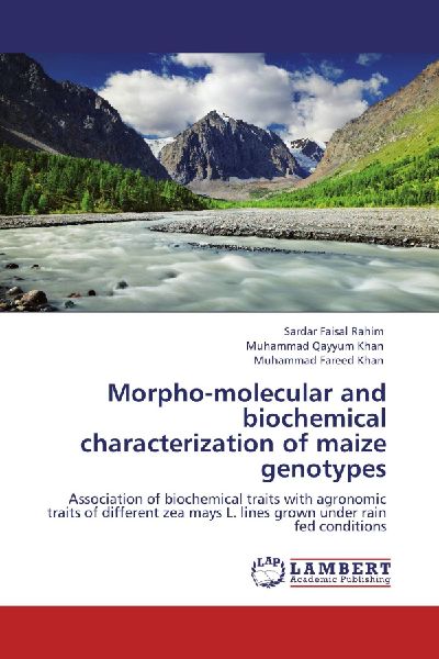 Morpho-molecular and biochemical characterization of maize genotypes: Association of biochemical traits with agronomic traits of different zea mays L. lines grown under rain fed conditions