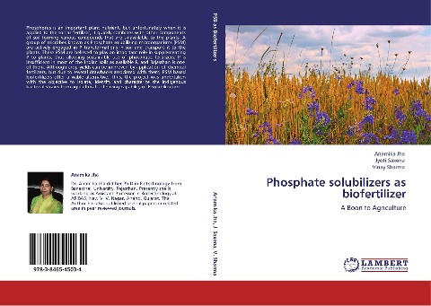 Phosphate solubilizers as biofertilizer: A Boon to Agriculture
