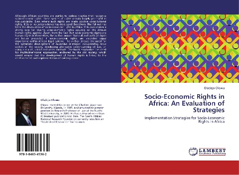 Socio-Economic Rights in Africa: An Evaluation of Strategies: Implementation Strategies for Socio-Economic Rights in Africa