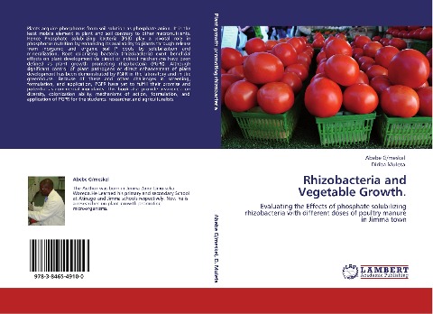 Rhizobacteria and Vegetable Growth.: Evaluating the Effects of phosphate solubilizing rhizobacteria with different doses of poultry manure in Jimma town