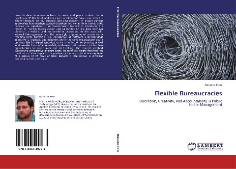 Flexible Bureaucracies: Discretion, Creativity, and Accountability in Public Sector Management
