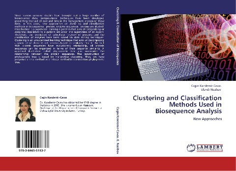 Clustering and Classification Methods Used in Biosequence Analysis: New Approaches
