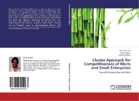 Cluster Approach for Competitiveness of Micro and Small Enterprises: Case of Ethiopian Bamboo MSEs