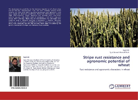 Stripe rust resistance and agronomic potential of wheat: Rust resistance and agronomic characters in wheat