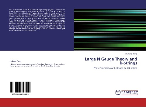 Large N Gauge Theory and k-Strings: Phase Transition of k-strings on 2D lattice