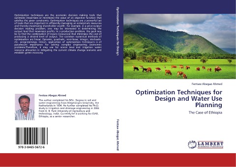 Optimization Techniques for Design and Water Use Planning: The Case of Ethiopia