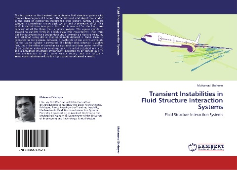 Transient Instabilities in Fluid Structure Interaction Systems: Fluid Structure Interaction Systems