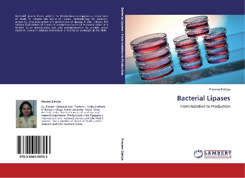 Bacterial Lipases: From Isolation to Production