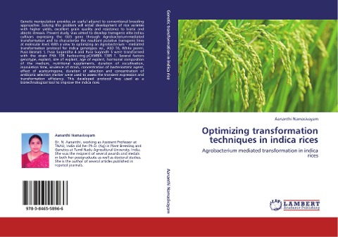 Optimizing transformation techniques  in indica rices: Agrobacterium mediated transformation in indica rices