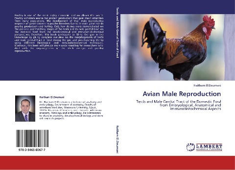 Avian Male Reproduction: Testis and Male Genital Tract of the Domestic Fowl from Embryological, Anatomical and Immunohistochemical Aspects