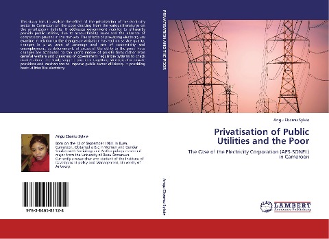 Privatisation of Public Utilities and the Poor: The Case of the Electricity Corporation (AES-SONEL) in Cameroon