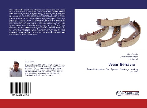 Wear Behavior: Some Detonation Gun Sprayed Coatings on Grey Cast Iron