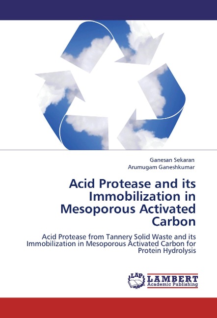 Acid Protease and its Immobilization in Mesoporous Activated Carbon: Acid Protease from Tannery Solid Waste and its Immobilization in Mesoporous Activated Carbon for Protein Hydrolysis