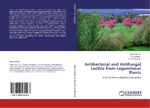 Antibacterial and Antifungal Lectins from Leguminous Plants: A Lectin from Indigofera heterantha