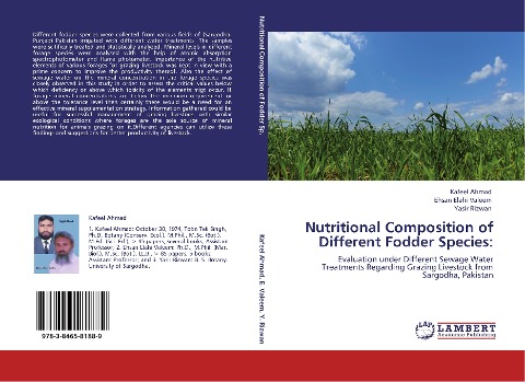 Nutritional Composition of Different Fodder Species:: Evaluation under Different Sewage Water Treatments Regarding Grazing Livestock from Sargodha, Pakistan