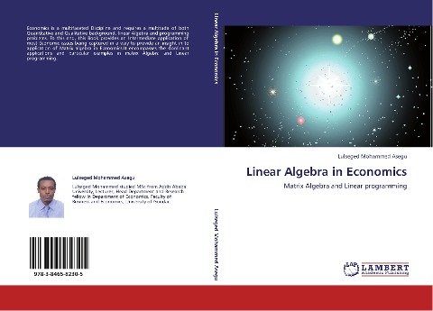 Linear Algebra in Economics: Matrix Algebra and Linear programming