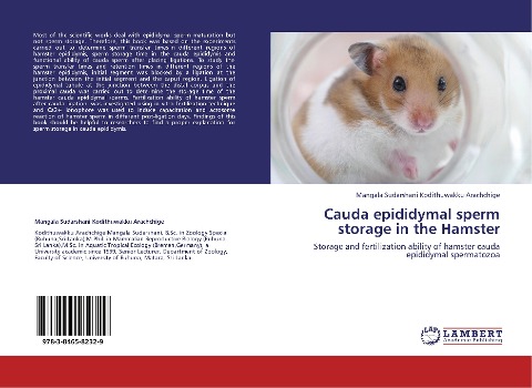 Cauda epididymal sperm storage in the Hamster: Storage and fertilization ability of hamster cauda epididymal spermatozoa