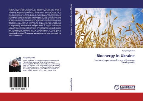 Bioenergy in Ukraine: Sustainable pathways for agro-bioenergy development