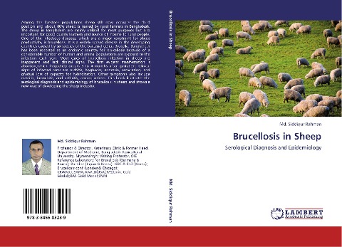 Brucellosis in Sheep: Serological Diagnosis and Epidemiology